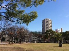 ���i����̓V�_���������ւ̓��e�ʐ^1