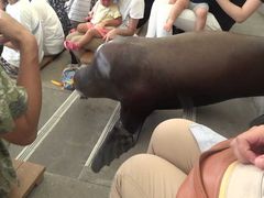 ܂̓mr[`h&mቤւ̓eʐ^1