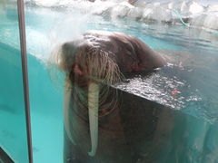 ܂̓mr[`h&mቤւ̓eʐ^1