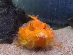 ܂̓mr[`h&mቤւ̓eʐ^1