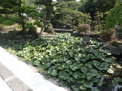 やんまあさんの華蔵寺庭園への投稿写真1