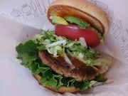 ₩̃Xo[K {cX̓eʐ^1