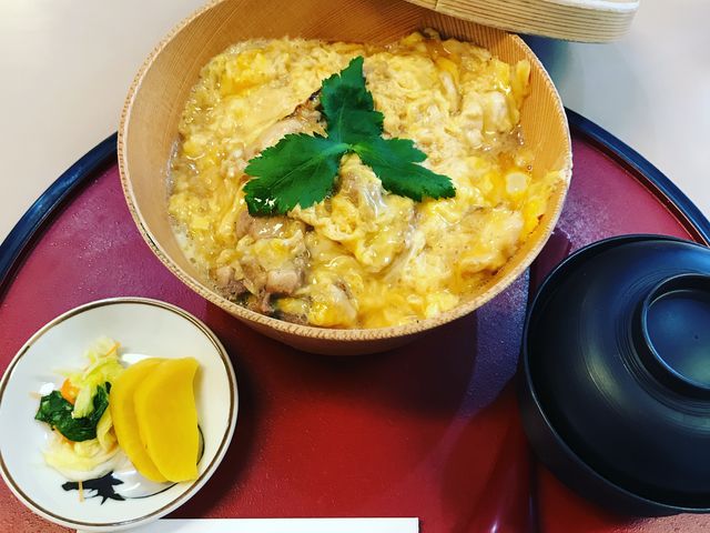 �g�s�R3F �H�c����n�{������̋��ɂ̐e�q��_�H�c�w�r���@�g�s�R���A���X