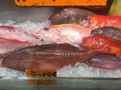 poporon����̑��q�u���ݎs��ւ̓��e�ʐ^1