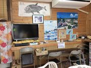 tam-tam̃^v^v̖h۔̓eʐ^2