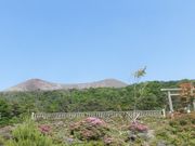 ڂ肳̌Ë{i͌j̓eʐ^1