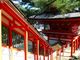 マックさんの日御碕神社の投稿写真14