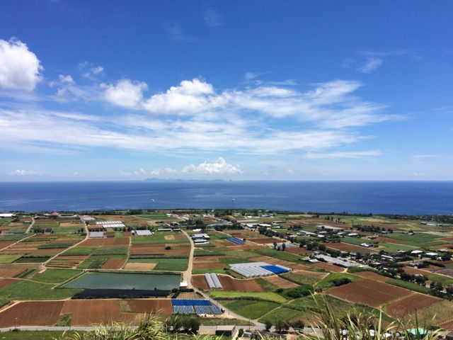 ����̎ʐ^_�ɍ]���^�b�`���[