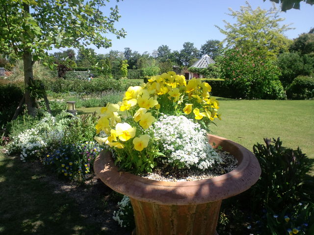 �C���O���b�V���K�[�f��_����_�ƌ����x���t�@�[��