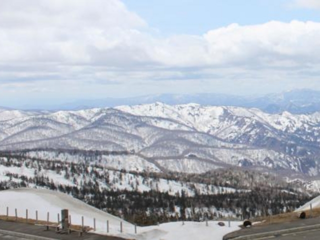 ������_������