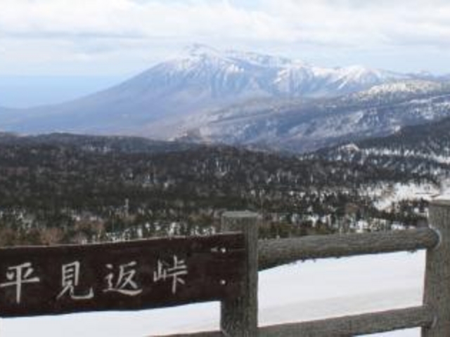 ������_������