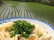 񂿂񂳂̎Oˏ̓eʐ^1