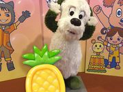 �J�Ȃ����NHK�z�[���̓��e�ʐ^1