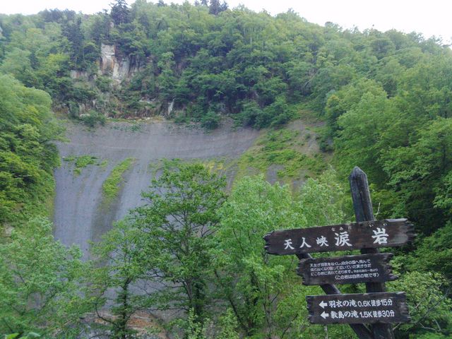 �܊�_�V�l���̗n���ÊD�⒌��ߗ�