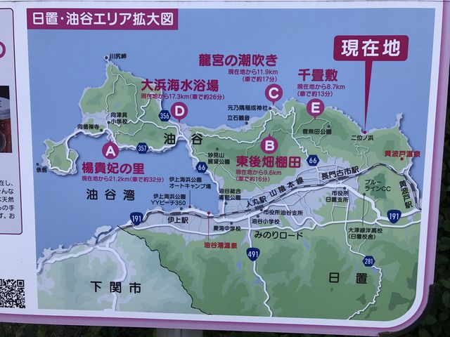 ���u�E���J�G���A�@���ݒn�͓�ʂ̕l�ł��B_����~�i�R��������s�j