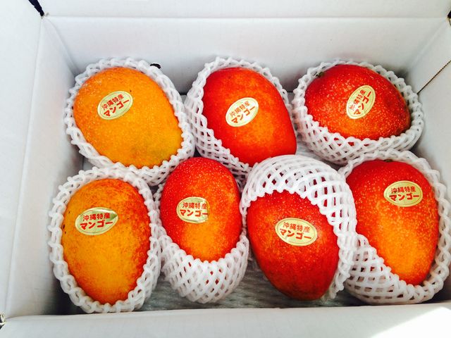 V[T[̃t@[}[Y}[Pbg΂̓eʐ^1