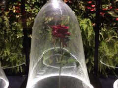 V[T[̃iCebhEVl}ւ̓eʐ^1