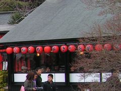 �A���X����̋Ղ��������ւ̓��e�ʐ^1