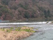 AX̑剁싙Ƌg̓eʐ^1