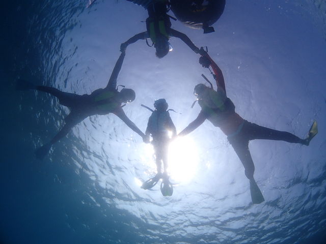 �C���X�g���N�^�[����ɎB���Ē����܂�����_EGG�_�C�r���O�V���b�v