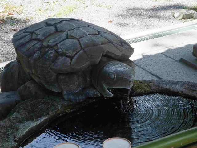 �T�̎萅��_������