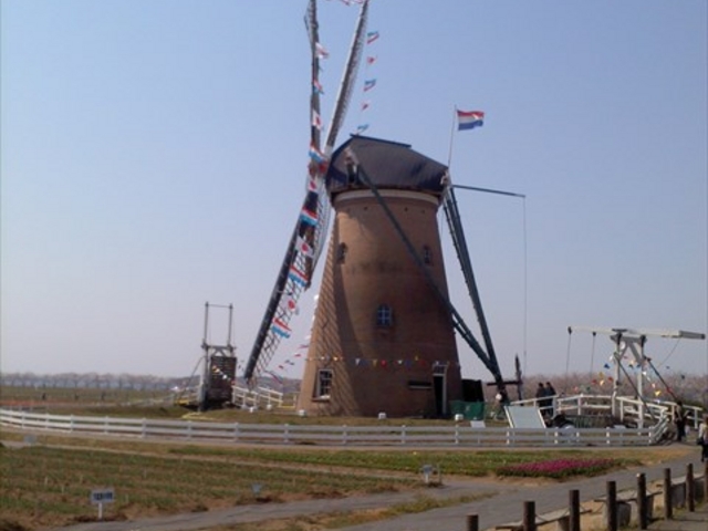 ���ɓ���܂�_�I�����_���ԃ��[�t�f