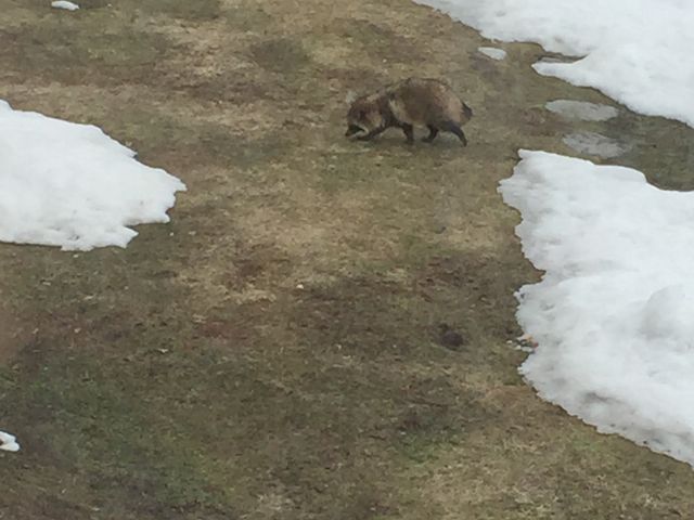 ���X�g�����̊O�ɂ����K�B_�ۋ�򗷊�