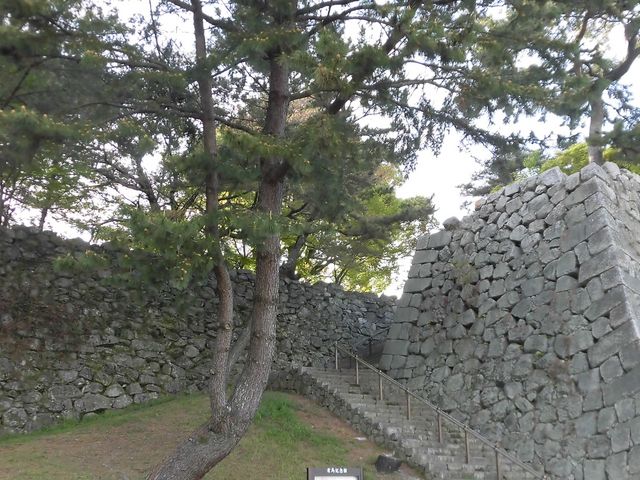 �C_�v���ď�Ձi�R��j