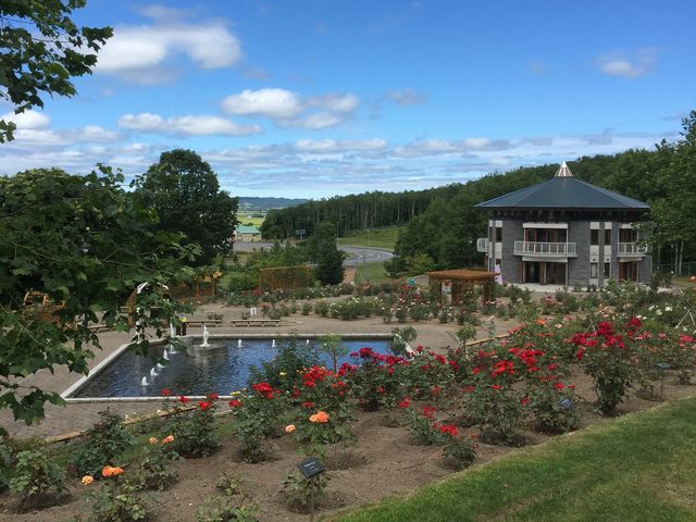 悳̃[YK[fՂׂ̓eʐ^1