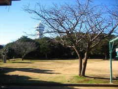 大野潮騒はまなす公園の写真一覧 じゃらんnet