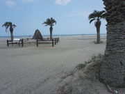 SÃV̖؁i{{Cj̓eʐ^1