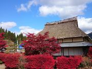 ǂ݂̉zӂ邳Ƒ̓eʐ^1