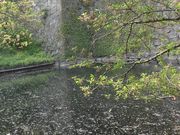 ڂ肳̋vďՁiRj̓eʐ^5