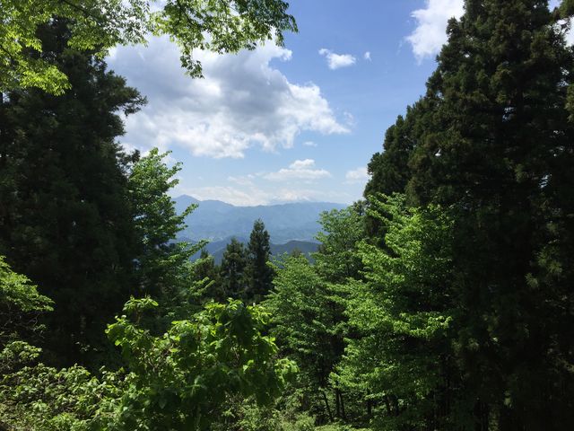 �����ɕx�m�R�������܂�_�i�M�R