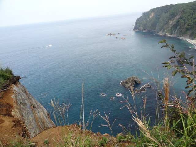 �f�R���_�L�̑��f�R�W�]��