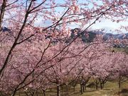 ǂ݂݂̂肳牀̓eʐ^1