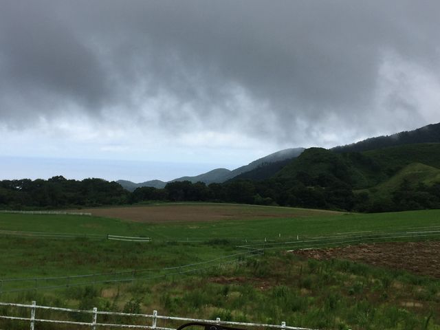 䂫񂳂̋s{{YZpZ^[􍂌q̓eʐ^1