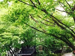 E̖̗̋@tďH~ւ̓eʐ^1