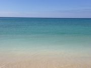 ҁ[̂̋XpgsJr[`̓eʐ^1