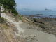 ibokororiさんの千鳥ヶ浜への投稿写真2