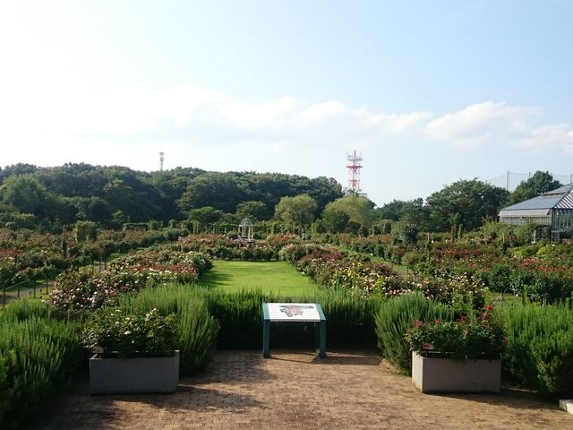 �L�����Y��ȃo����_�����o����