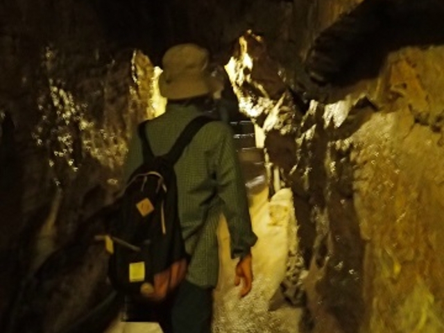 ���̕ӂ͂܂��]�T�ł��i�΁j_��q��