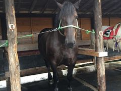 tW[^̃A[Xh[pR_ւ̓eʐ^1