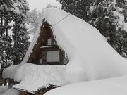 ڂ肳̑qفEq`YƊق̓eʐ^2