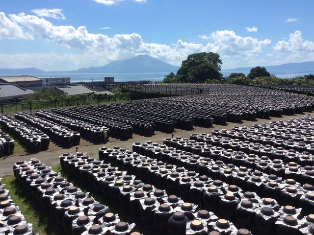 񂳂̍|K[f┨ SHOPRESTAURANT̓eʐ^1