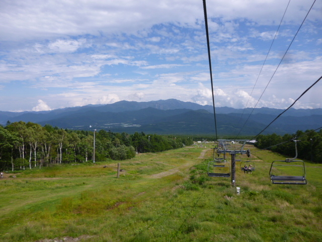 �A�X���`�b�N�R�[�i�ɂȂ��Ă���Ζ�_�T�����h�E�Y�@���E�����X�L�[��