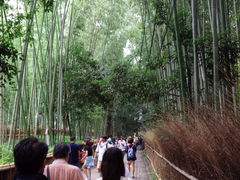 nahoko257̒|т̓ւ̓eʐ^1