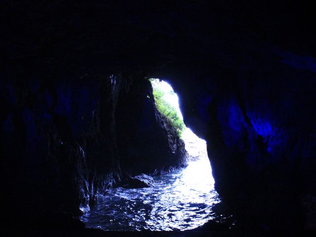 �̓��A_��F���i����̖��j