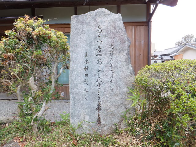 ���ڂ炳��̔m�ԋ��i�r�ؐ_�Ёj�̓��e�ʐ^1