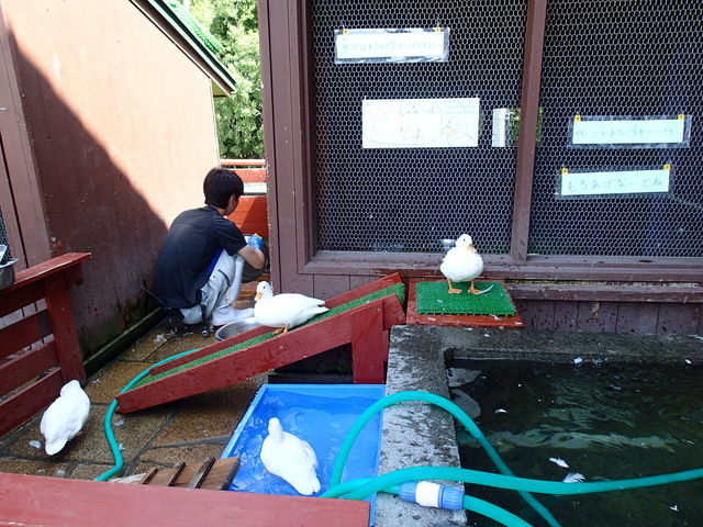 �R�[���_�b�N����_���R������